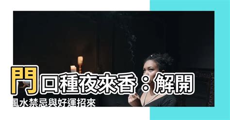 夜來香風水|【夜來香花風水】夜來香有什麼風水禁忌需要注意什麼 